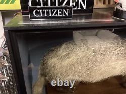 Excellent Vintage Shop Display Sign, rare To Find Like This, citizen Watches