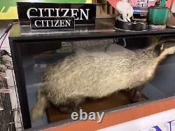 Excellent Vintage Shop Display Sign, rare To Find Like This, citizen Watches