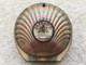 RARE C1897 VINTAGE CARR&Co Ltd CARLISLE SHELL SHAPED BISCUIT TIN