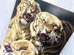 Rare Vintage AGFA Isopan Photo Film Camera Advertising Cardboard Sign Not Enamel