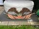 Rare Vintage American Eagle Sign Fiberglass 1.5m Long. Collection Only No Post