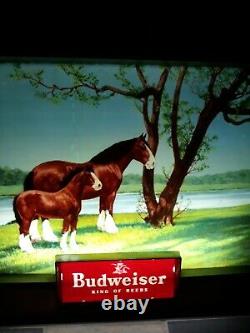 Rare Vintage Budweiser Beer Advertising Lighted Electric Sign Clydesdale 1950's