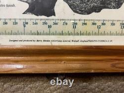Vintage Rare Advertisement Framed Poster Eldonian Stainless Steel Horse Bits