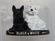 Vintage old rare collectible advertising Black and White Scotch Whisky advertis